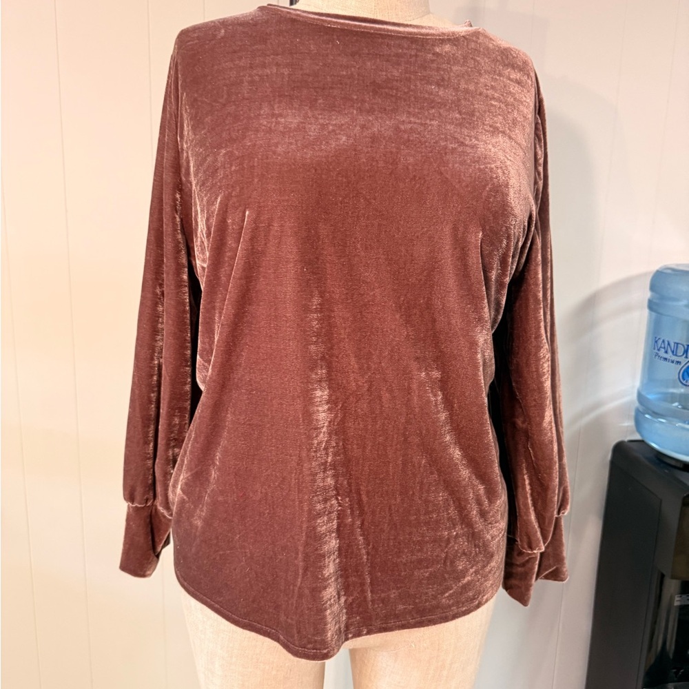 Velvet Long Sleeve Top - Rose/Brown
